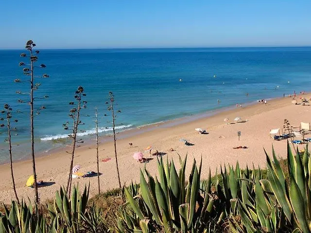 Esmeralda ヴィラ *